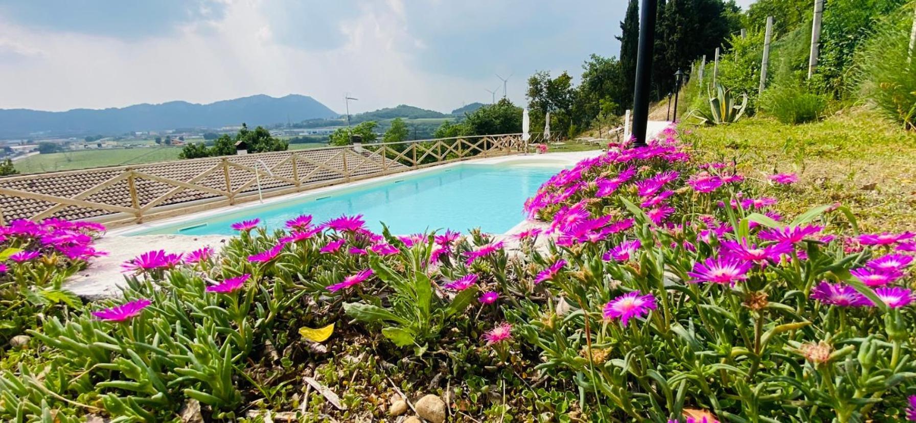 Villa Poggio Ulivo Pool-Apartments Rivoli Veronese Eksteriør billede